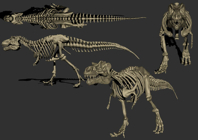 T-Rex Skeleton